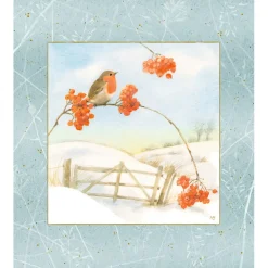 Käthe Wohlfahrt Adventskalender "Wintermorgen Mit Rotkehlchen"