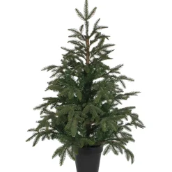 Käthe Wohlfahrt Baum Frasier Fir Grun, 100 Cm