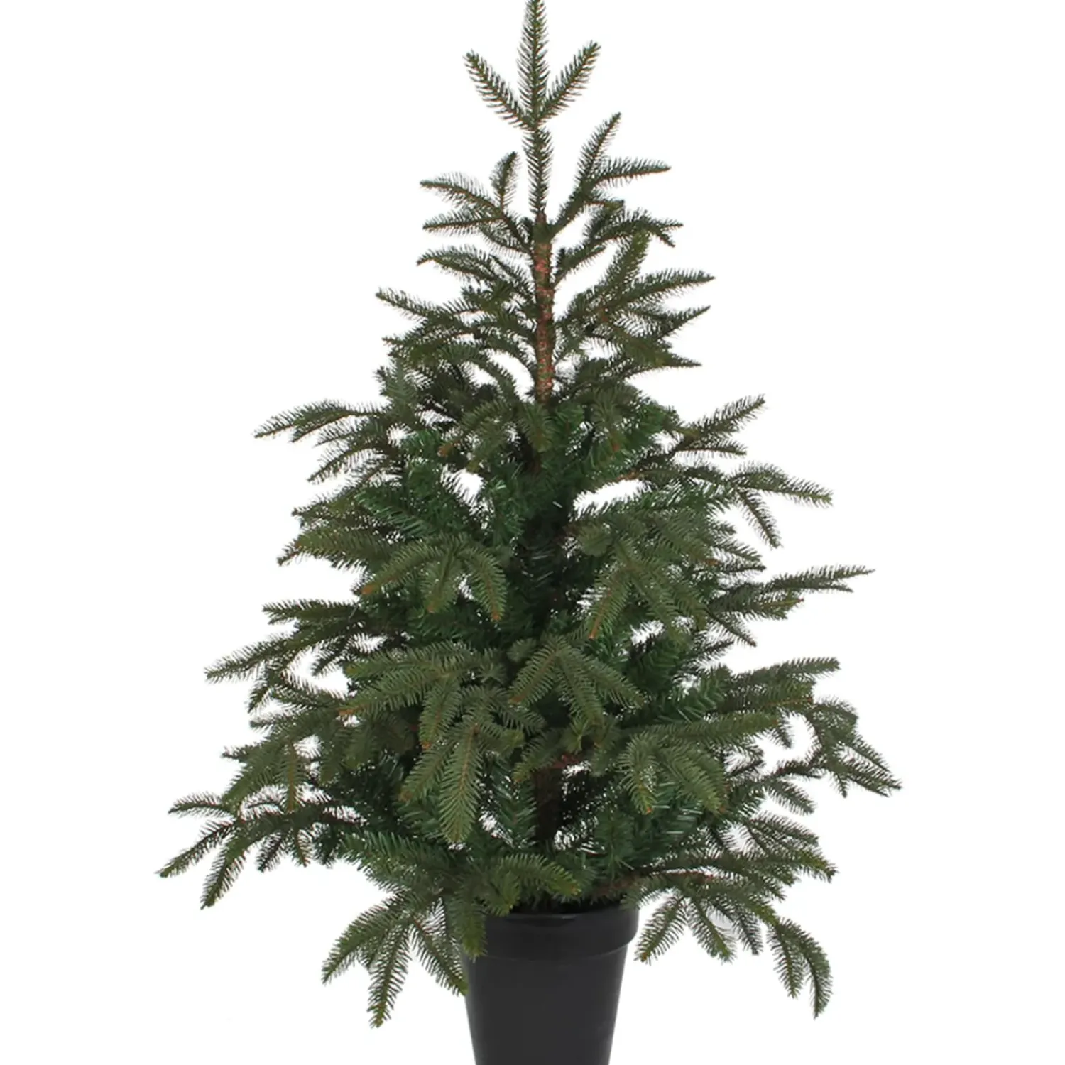 Käthe Wohlfahrt Baum Frasier Fir Grun, 100 Cm