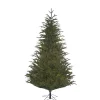 Käthe Wohlfahrt Baum Frasier Fir Grun, 215 Cm