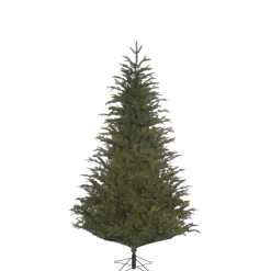 Käthe Wohlfahrt Baum Frasier Fir Grun, 185 Cm