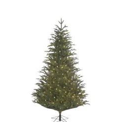 Käthe Wohlfahrt Baum Frasier Fir Mit Led Beleuchtung, 185 Cm