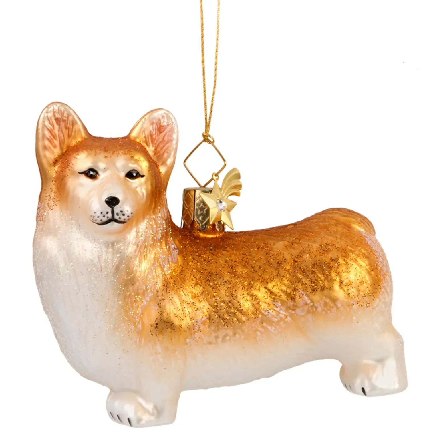 Poesie in Glas Welsh Corgi